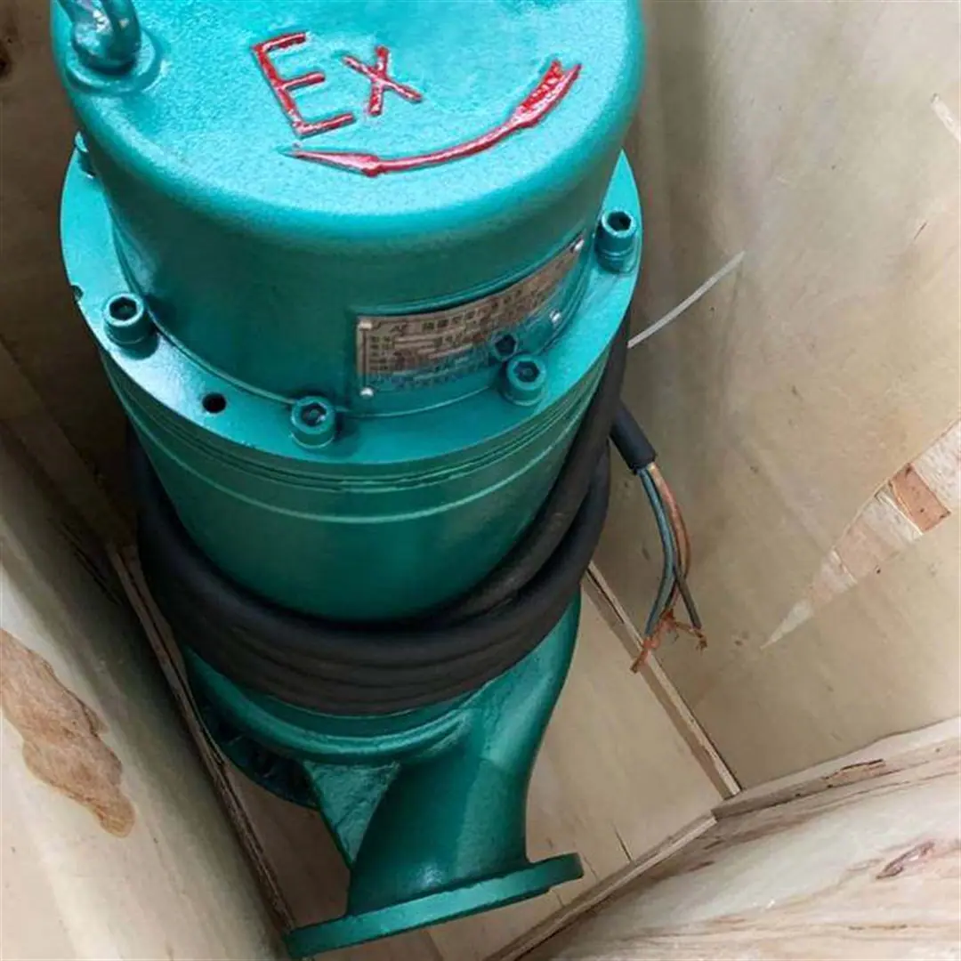 隔爆潜水泵20.png