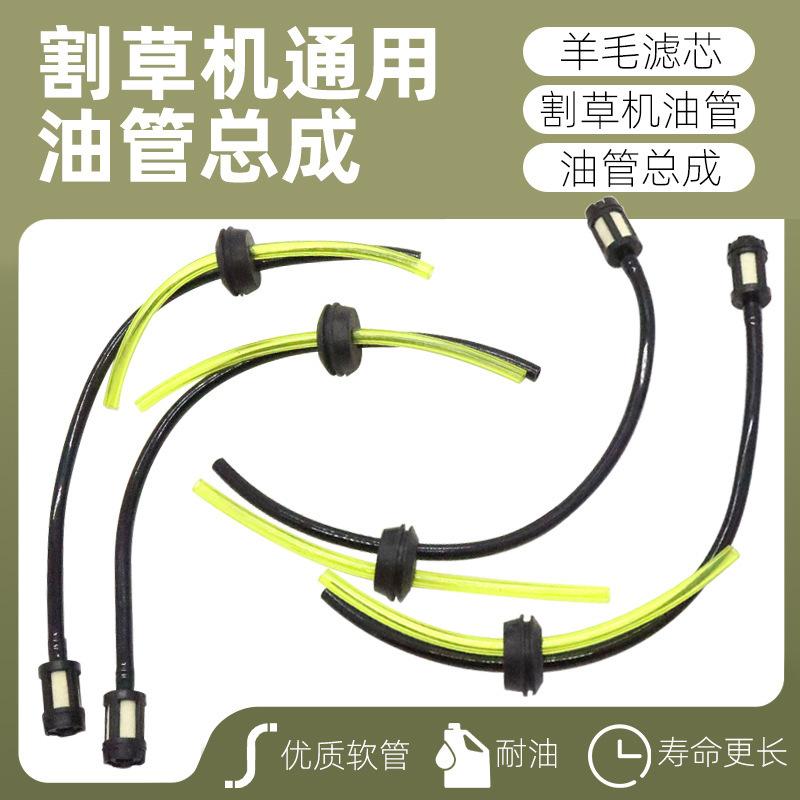 主1