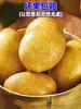 Gansu Dingxi Papa Superficie Arenosa Papa Corazón Amarillo Papa Vegetal Cultivada en Suelo Seco Arenoso Recién Desenterrada 4.5kg