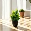 Atacado Transfronteiriço de Plantas Artificiais, Grama de Primavera em Vasos Pequenos, Flores Artificiais, Plantas Verdes Falsas para Interior e Exterior, Decorações para Home Office, Bonsai