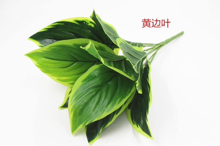 IMG_8735_副本.jpg