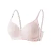 Sujetador de encaje tallas europeas y americanas S-XXL lencería modelo explosivo transfronterizo TemuSHEIN sexy pecho pequeño