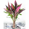 Flores Hidropônicas de Bambu da Sorte, Plantas Hidropônicas de Bambu da Sorte, Plantas em Vasos, Plantas de Guanyin, Purificação do Ar de Ambientes Internos o Ano Todo
