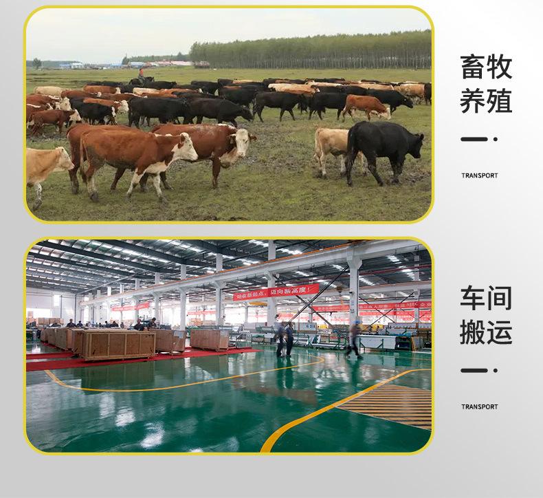 详情_06.jpg