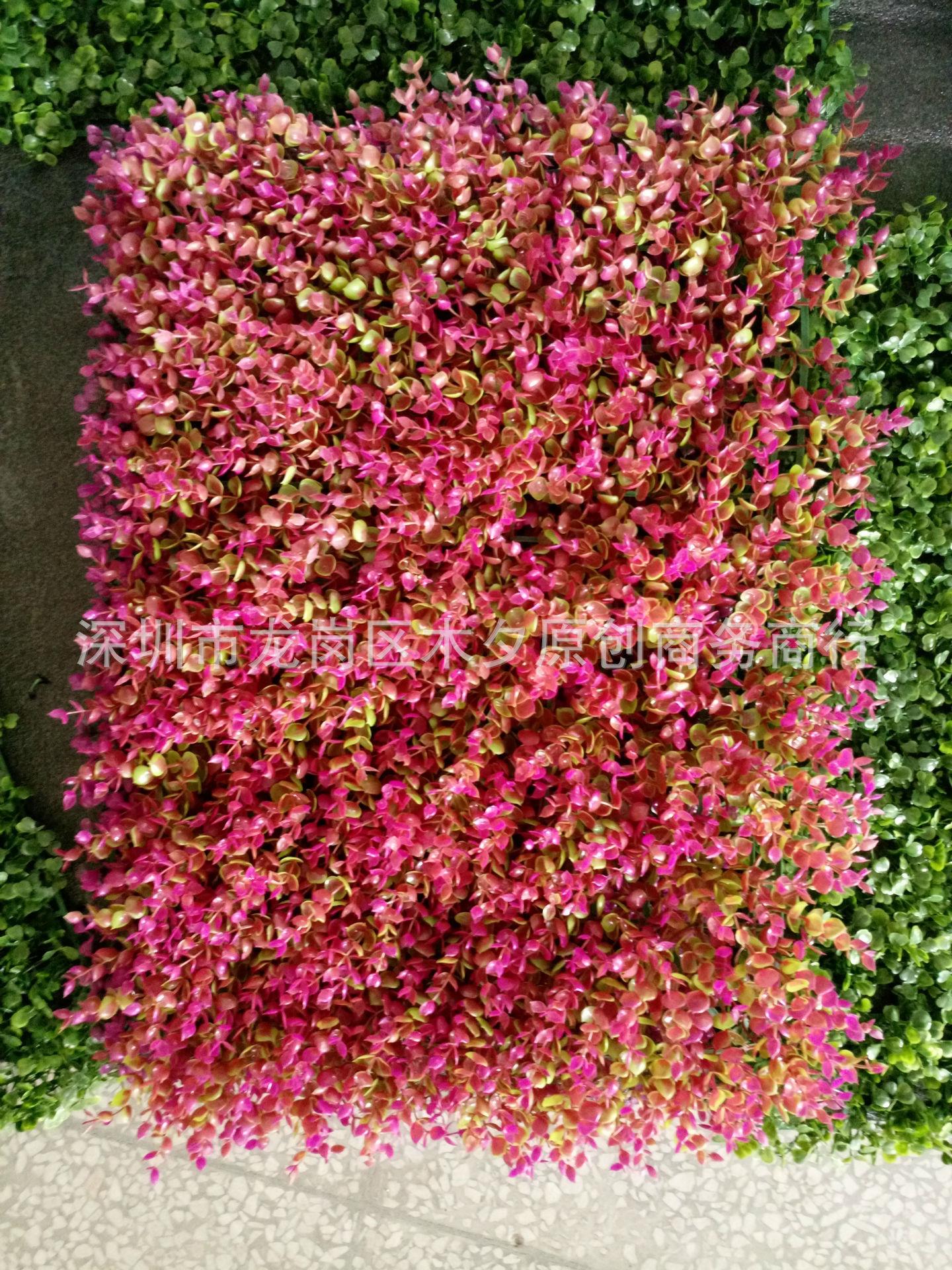 IMG_20160105_155635