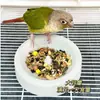 Comedero Redondo para Pájaros Loro Hecho de Piedra Natural, Antivuelco, Especial para Afilar Garras y Anti-Mordiscos para Mascotas Pequeñas