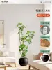 Plantas Verdes Artificiales de Gama Alta para Decoración de Sala de Estar, Planta Realista Falsa de Caucho Negro para Decoración de Sala de Transmisión en Vivo