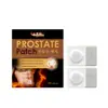 Parche de Cuidado Corporal para Hombres Fórmula Herbal Suave Nutre y Conforta la Piel del Cuerpo Parche de Cuidado Externo Diario