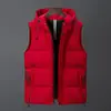 Chaleco de Algodón Lavado de Invierno para Hombre Estilo Coreano Moderno Delgado Elegante Chaleco Juventud Otoño e Invierno Chaqueta sin Mangas Versátil