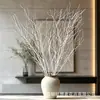Nuevo Producto Kuang Xiang Zhe [Ramas de Abedul Blanco] Estilo Wabi-Sabi de Alta Gama Decoración de Ventana de Boda para el Hogar Ramas de Flores Secas