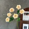 Flores Artificiales Peonía de 6 Cabezas Decoración de Boda Arreglo Floral Decoración del Hogar Arreglo de Flores En Stock Comercio Exterior Transfronterizo