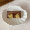 Pendientes de Fuegos Artificiales Flash Otoño e Invierno Temperamento Retro Estilo Hermana Real Sentido del Diseño Cara para Pequeños Eventos Públicos Pendientes Pequeños Únicos Delicados