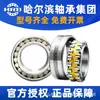 Hrb Rodamiento Harbin Rodamiento de Alta Velocidad de Precisión para Máquina Herramienta Nn3014K P5W33 Rodamiento para Equipo de Máquina Herramienta Cnc