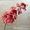 9 Cabezas de Orquídeas Mariposa 3D Estilo Francés para Boda y Decoración del Hogar, Flores Artificiales para Exhibición en Hotel y Arreglos Florales