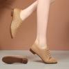 Zapatos de Baile de Salón para Mujer de Tacón Bajo, para Danza Cuadrada, Suela Blanda, Clásicos de Práctica, Malla, Zapatos de Baile para Profesor, Verano