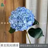 26 Anos de Materiais Florais Azul Escuro de Alta Qualidade, Materiais de Flores de Seda para Vitrines, Paisagismo, Adereços para Estúdio de Fotografia, Flores Artificiais