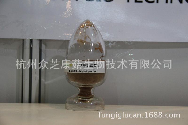 中华被毛孢菌粉_副本