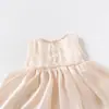 Ropa de Bebé Verano Nuevo Estilo Mameluco para Bebés Niñas, Elegante Mameluco Vestido de Satén y Gasa para Bebé Vestido de Verano