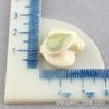 Accesorios de resina para llaveros, Juguetes de comida en miniatura para casa de muñecas, Adornos de nuez, Pistacho DIY Pegamento crema casero