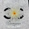 Flor de crisantemo de llama artificial arreglo de pared de flores de fondo para salón de bodas corona transfronteriza caja de flores materiales florales decorativos venta al por mayor flores de seda