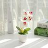 Flor Artificial Pequena Orquídea Phalaenopsis Bonsai Decoração de Interior Direto do Fabricante Flor de Seda Peça Única Dropshipping Planta Verde Artificial em Vaso
