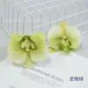 Filme Phalaenopsis Flor Pequena Alta Simulação Sentir Phalaenopsis Férias de Verão Processamento de Acessório de Cabeça DIY Chapéu de Formatura