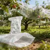 Malla a Prueba de Pájaros para Huertos de Polietileno Pe Transfronteriza Verde para Jardín Balcón Flor Transparente Malla Protectora para Pájaros Malla para Pájaros