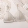 Item Popular de Exportação Transfronteiriça do Sudeste Asiático: Sutiã Triângulo Estilo Francês para Mulheres, Sem Aro, Bojo Fixo, Alças Finas, Lindo Sutiã nas Costas