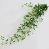 Helecho Colgante Estilo Bosque Techo Pared Verde Planta Decoración Enredadera Tipo Hilo Colgante de Helecho