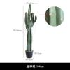 Simulación de Espacio Natural Cactus en Maceta Planta Verde Paisaje Decoración Planta Artificial Decoración