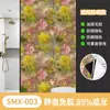 Película de Vidrio Opaca Total Estilo Ins Transfronteriza, Anti-Miradas Indiscretas, Parasol, Película para Ventana de Protección Solar, Pegatina Opaca para Ventana