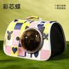 Bolsa portátil para mascotas, cápsula espacial, para gatos, bolso de hombro plegable, mochila para salir, bolsa para perros y gatos con dibujos animados