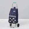 Carrito de Compras de Acero Inoxidable, Carrito Trepador de Escaleras, Carrito Grande Plegable para el Hogar para Personas Mayores, Carrito de Arrastre Manual