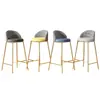 Taburete de Barra de Lujo Ligero Moderno Minimalista para el Hogar Taburete Alto Silla con Respaldo para Recepción de Celebridades de Internet Taburete de Barra de Moda