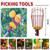 Conjunto de Colhedor de Frutas Ferramenta Telescópica Multifuncional para Colher Frutas Ferramenta para Colher Frutas em Altura com Haste Estendida Acessórios
