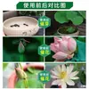 Lirio Acuático Fertilizante Universal Soluble en Agua para Hidroponía, Promueve la Floración, Previene el Amarillamiento de las Hojas, Fertilizante Especial para Lotos, Solución Nutritiva Concentrada para Lotos en Maceta, Venta al por Mayor