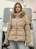 Casaco Feminino Versátil, Estiloso e da Moda para o Inverno 2026, Transfronteiriço, com Mangas Removíveis, Capuz e Gola de Pelo