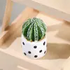 Cacto de simulação em vaso para interior, suculentas de mesa, cacto pequeno em vaso, micro paisagem, ornamentos DIY em estoque