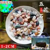 Arena de fondo para acuario, piedras decorativas, juego completo de piedras florales de lluvia ecológicas naturales, piedras luminosas y piedras en bruto