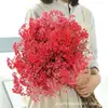 Gipsofila Flor Eterna Ramo de Flores Secas Venta Directa de Fábrica de Yunnan Gipsofila Flor Eterna Hecho a Mano DIY Flores al por Mayor