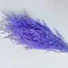 Hierba de Amor Blanqueada Flor Inmortal Hierba de Amor Blanqueada Ramo Seco Material Base Yunnan Venta Directa Ramo Pequeño Amazon