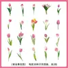 Adesivos de plantas e flores PET para journaling, materiais decorativos para cenários DIY feitos à mão, adesivos de journaling transparentes autoadesivos