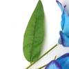 Simulación Tres Puntas Flores de Lirio Pequeñas Arreglo Floral Bloque Flor Flores Artificiales Material Floral Decoración de Boda Flores Artificiales