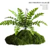 Musgo Sintético Decoración Suave para Interiores Conjunto de Micro-Paisajismo Combinación Ventana Pasillo Musgo Falso Planta Verde Decoración de Paisajismo Arreglo