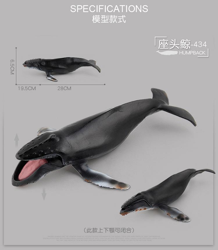 详情图片_004.jpg
