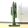 Cacto Cacto Em Vaso Plantas Verdes Falsas Tropicais Paisagismo de Deserto Plantas Verdes Falsas Enfeites Decorativos de Cacto