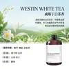 Recarga de Aceite Esencial de Aromaterapia Yulong Tea para Piedras Difusoras, Específicamente para Ambientadores y Difusores de Coche, Proporciona Fragancia Duradera