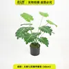 Planta de Simulación Planta Verde Flor en Maceta Surco Maceta Decorativa Hojas Falsas 18 Ramas Base Pequeña Pared de Plantas Flor Falsa Paisaje Combinación