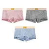 Huajielong Renda de Seda Gelo Estampada Roupa Íntima Feminina Atacado Cintura Média Tamanho Grande Respirável Boxer Feminino Dropshipping Disponível