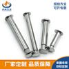 Suministros del Fabricante Tornillos de Impacto y Remaches de Acero Inoxidable 304 Galvanizados Niquelados de Hierro con Cabeza Semiredonda y Cabeza Plana